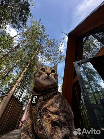 2-к. дом, 42 м² 
2-к. дом, 42 м²