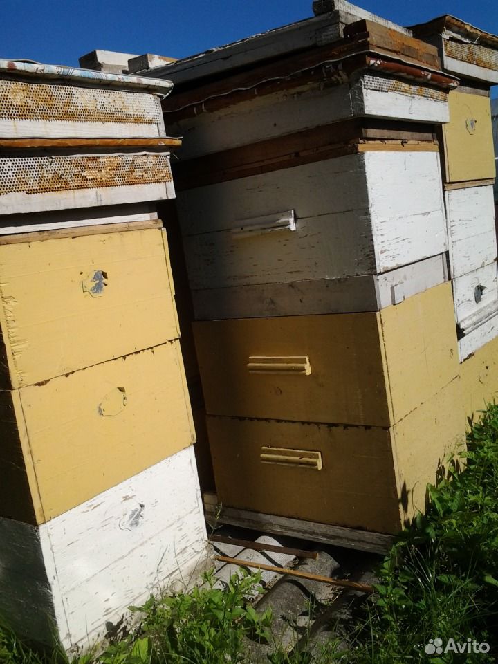 Ульи, инвентарь для пасеки (без пчел) + медогонка купить на Зозу.ру - фотография № 1