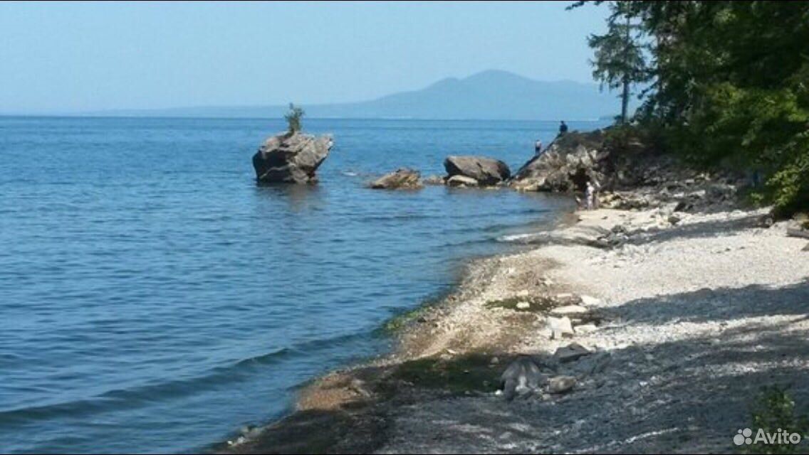 Погода в горячинске бурятия на 10. Горячинск Байкал черепаха. Курорт Горячинск. В Горячинске остров чаек. Медведи на пляже в Горячинске.