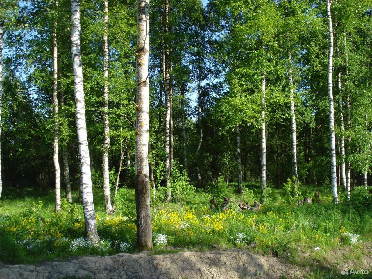 Купить Участок Ижс Горный Щит