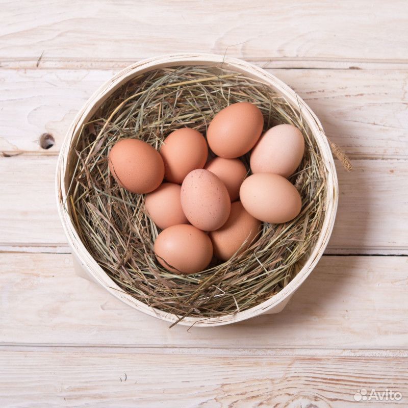 Деревенское куриное яйцо купить на Зозу.ру - фотография № 1
