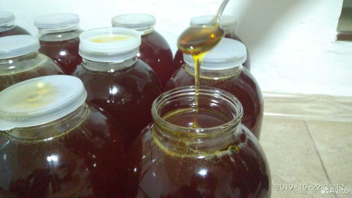Мёд натуральный горный лечебный разнотравный купить на Зозу.ру - фотография № 5