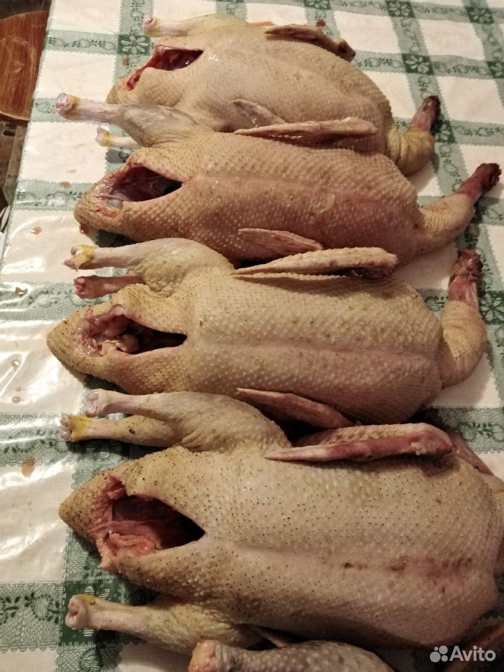 Мясо домашней утки муларда, цесарки, перепела купить на Зозу.ру - фотография № 2