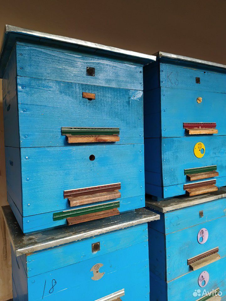 Ящики для пчел (улей) купить на Зозу.ру - фотография № 2