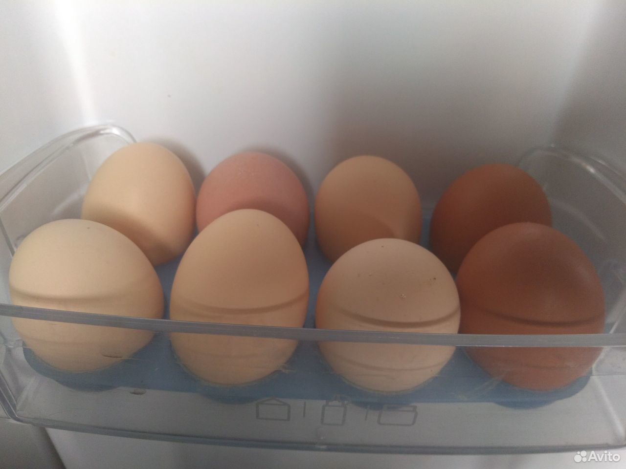 Яйцо куриное домашнее (доставка) купить на Зозу.ру - фотография № 1