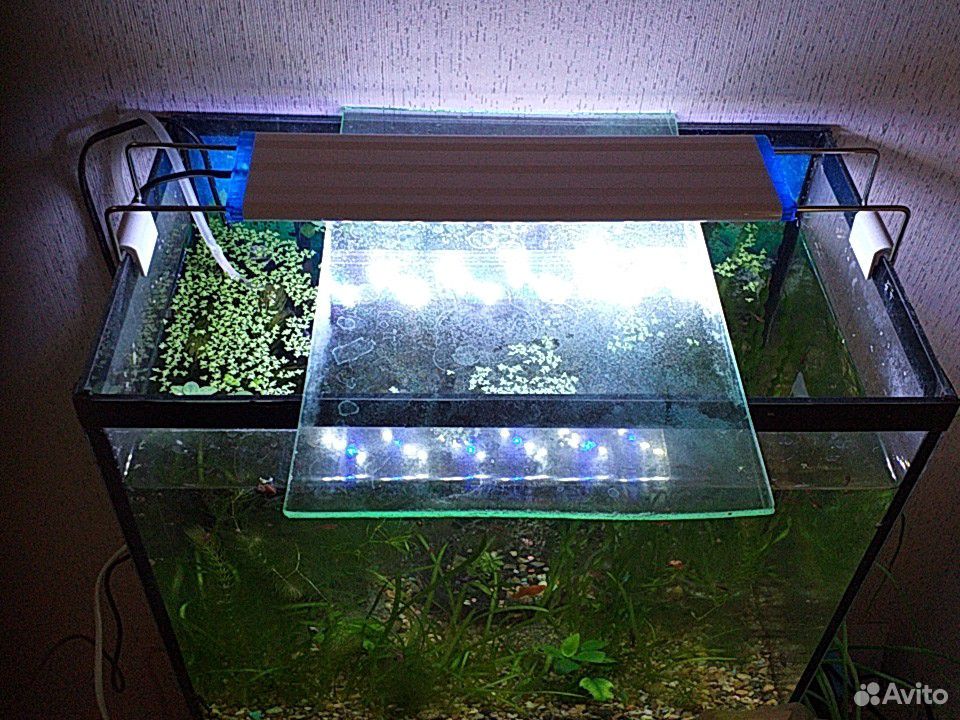 Светильник для аквариума купить на Зозу.ру - фотография № 4