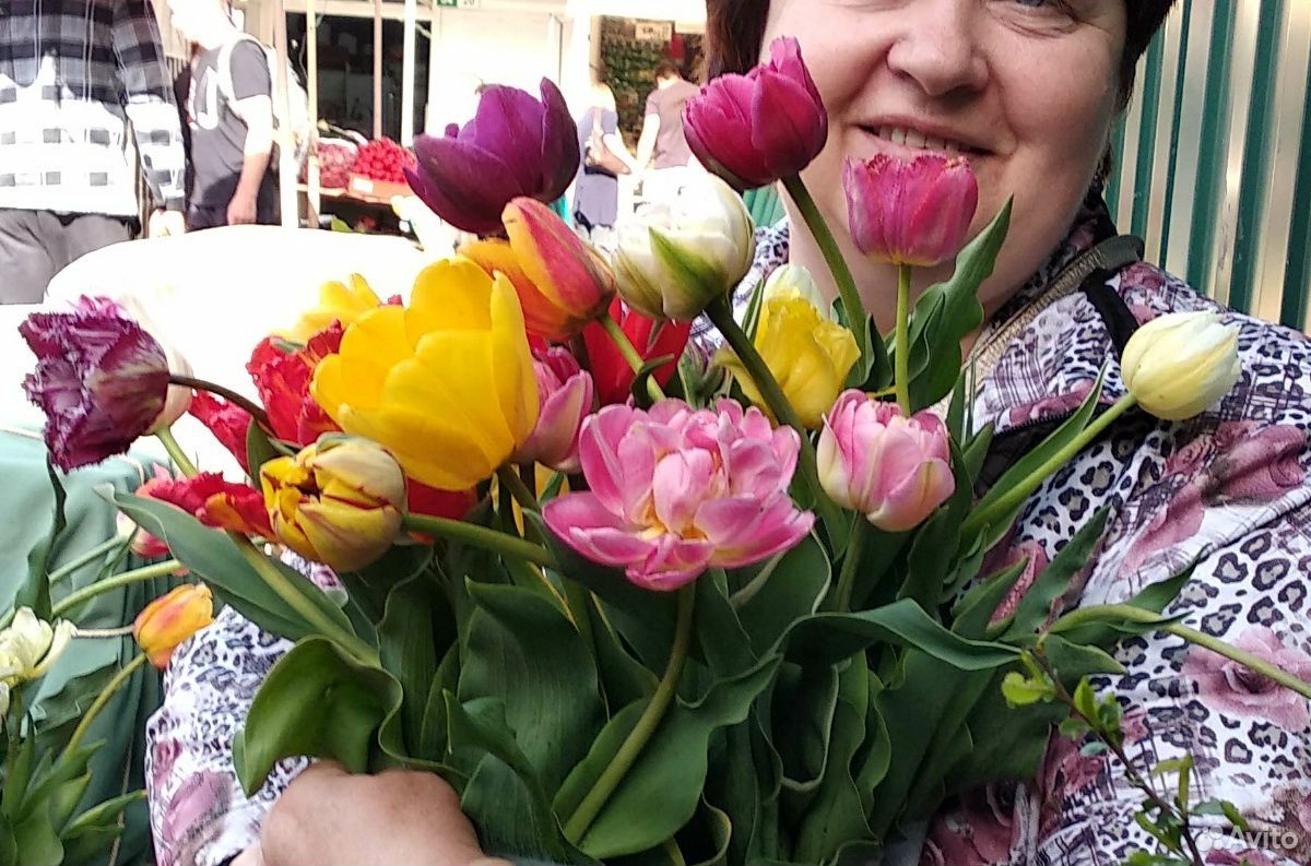Тюльпаны - луковицы купить на Зозу.ру - фотография № 1