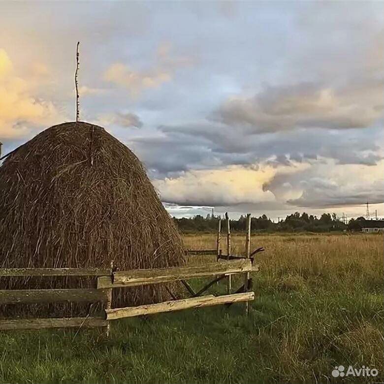 Скирда соломы. Скирда сена. Стог. Огромный стог сена.