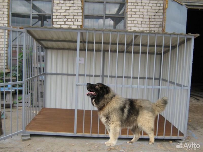 Вольер 2х3 для собаки дворняги купить на Зозу.ру - фотография № 3