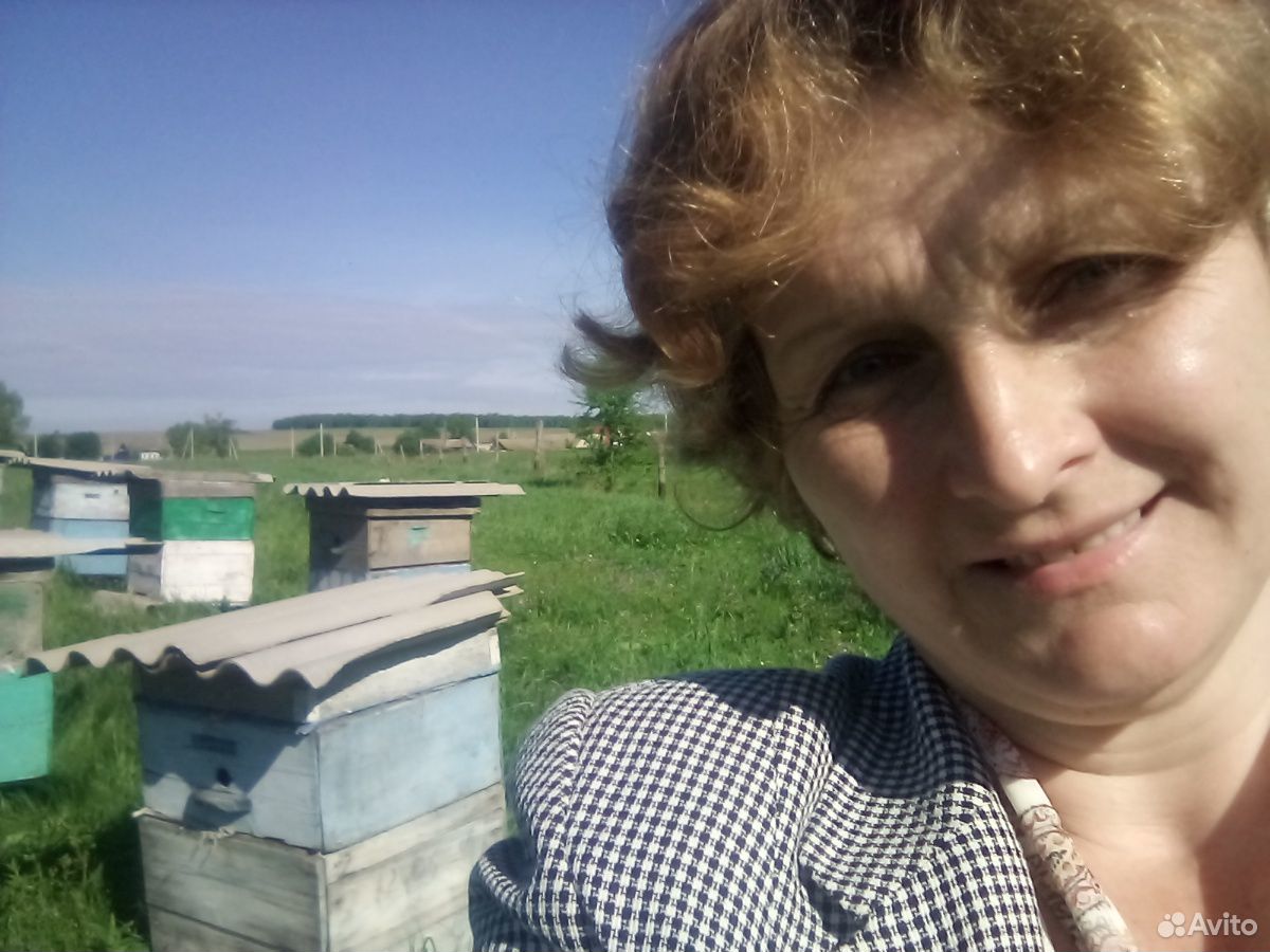 Пчелосемьи, ульи, корпуса купить на Зозу.ру - фотография № 1