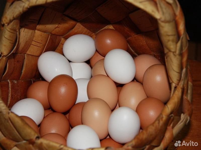 Домашние Яйца купить на Зозу.ру - фотография № 1