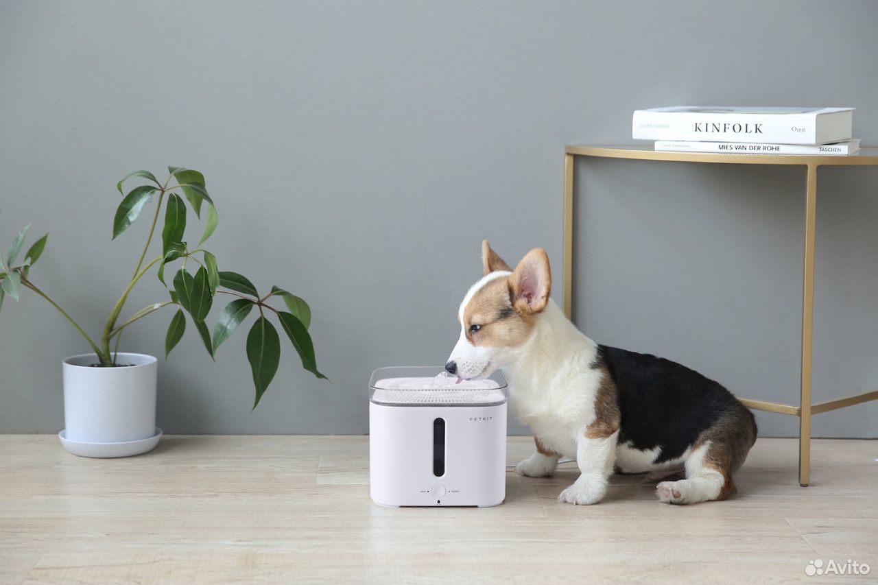 Фонтан для животных. PETKIT 3. PETKIT Eversweet 2s. PETKIT Eversweet 2. Умная автопоилка для животных Xiaomi Smart Pet Fountain.