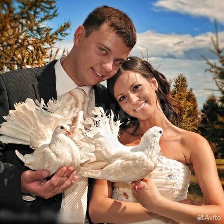 Голуби на свадьбу купить на Зозу.ру - фотография № 1