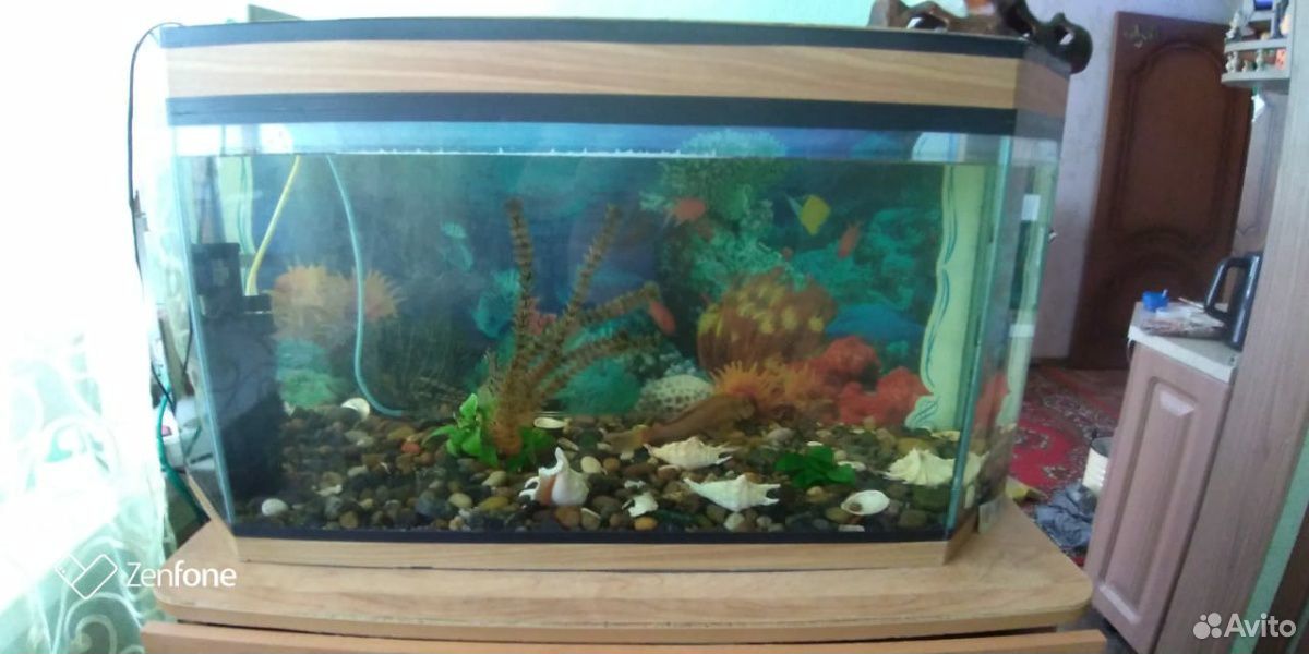 Аквариум 170 литров с рыбками, фильтром, насосом,с купить на Зозу.ру - фотография № 1