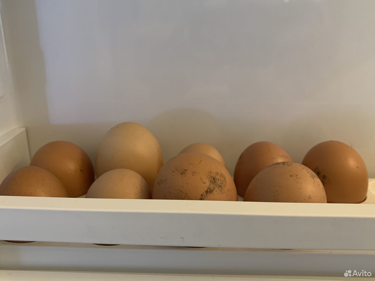 Перепелиные и куриные эко яйца купить на Зозу.ру - фотография № 2