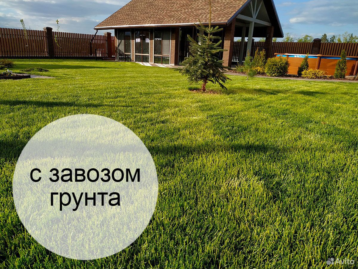 Элитный рулонный газон с укладкой мо купить на Зозу.ру - фотография № 1