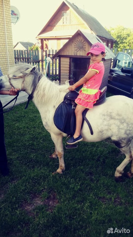 Лошадь Пони купить на Зозу.ру - фотография № 2