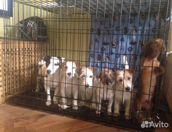Клетка для собак купить на Зозу.ру - фотография № 9