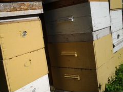 Ульи, инвентарь для пасеки (без пчел) + медогонка