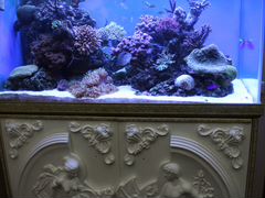 Морской аквариум 500 литров
