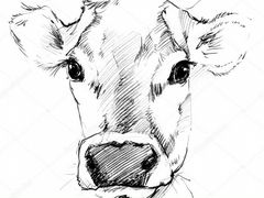 Корова Голштинской породы