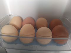 Яйцо куриное домашнее (доставка)