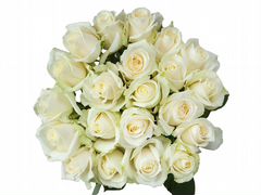 Белые розы с атласной лентой Доставка