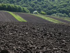 Чернозем плодородный для газонов и огородов
