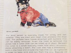 Одежда для собаки - новый плащ с капюшоном