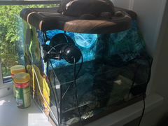 Черепаха с аквариумом (полный комплект)