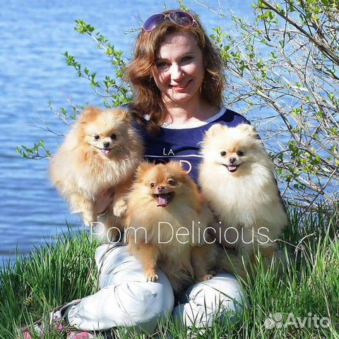 Собаки iku скор