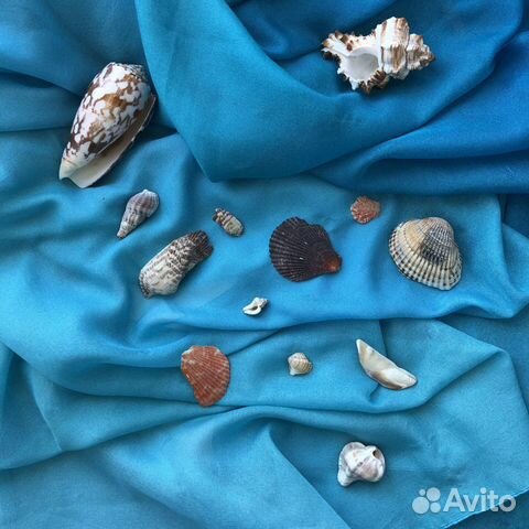 Ракушки и камушки морские