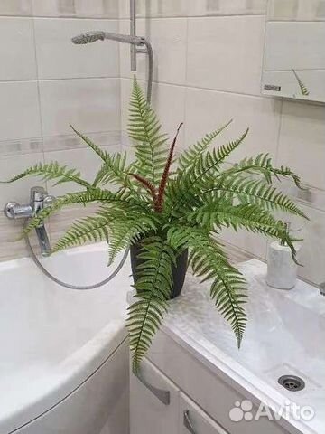 Папоротник комнатный, искусственный папоротник, ис