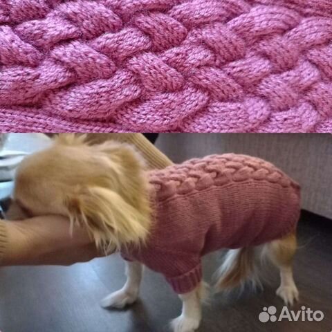 Одежда для животных