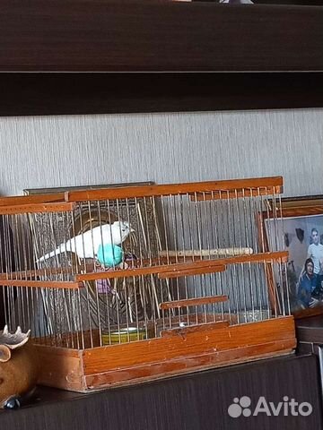 Клетки для птиц