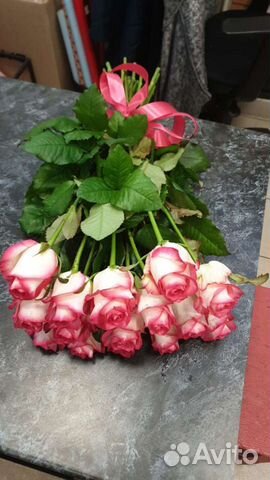 Розы, букет роз, розы Россия