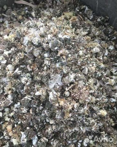 Органическое удобрение