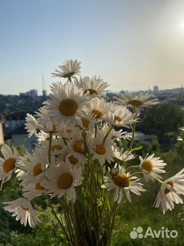 

2-к. квартира, 40 м², 2 кровати