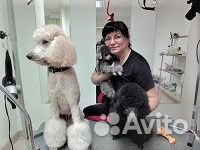 Стрижка собак и кошек в Калининграде