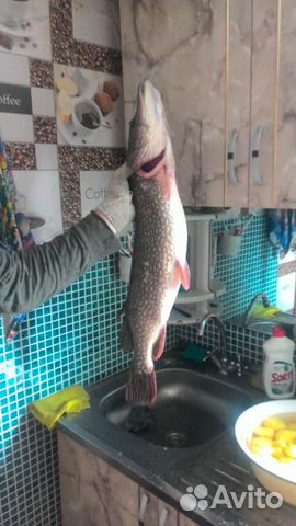 

2-к. дом, 55 м²