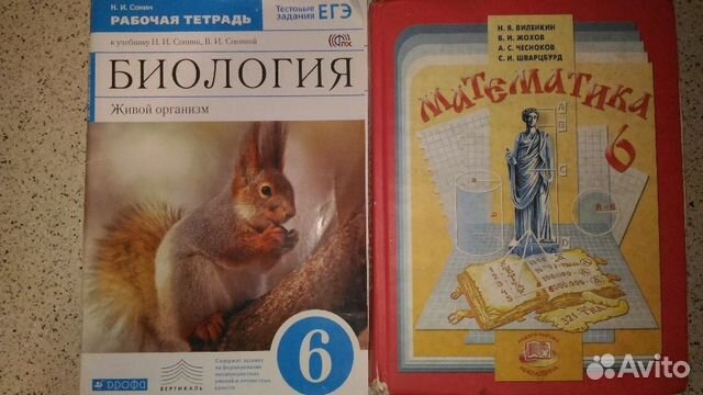 Математика и биология