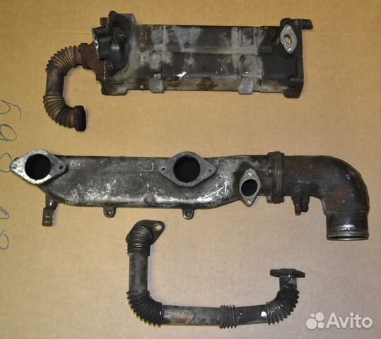 Охладитель, рог Зубренок Д245.35Е4 Евро-4