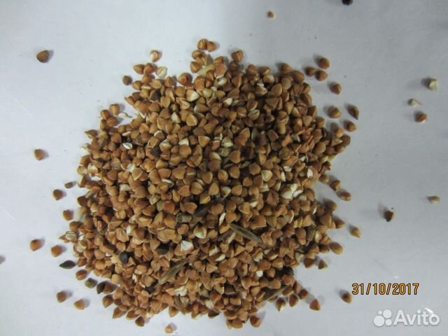 Гречневая крупа ядрица для собак и С/Х жив. и птиц