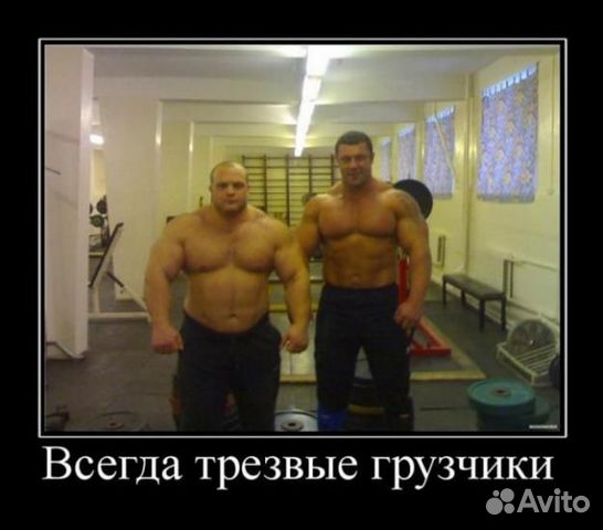 Грузоперевозки.Грузчики.Переезды любые.Вывоз хлама Грузоперевозки.Грузчики.Переезды любые.Вывоз хлама
