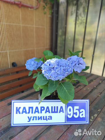 

Квартира-студия, 18 м², 2 кровати