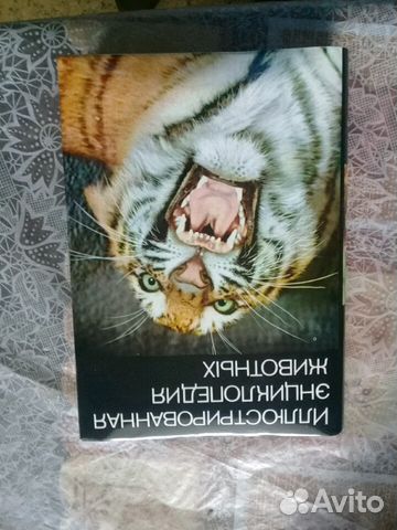 Книга Книга