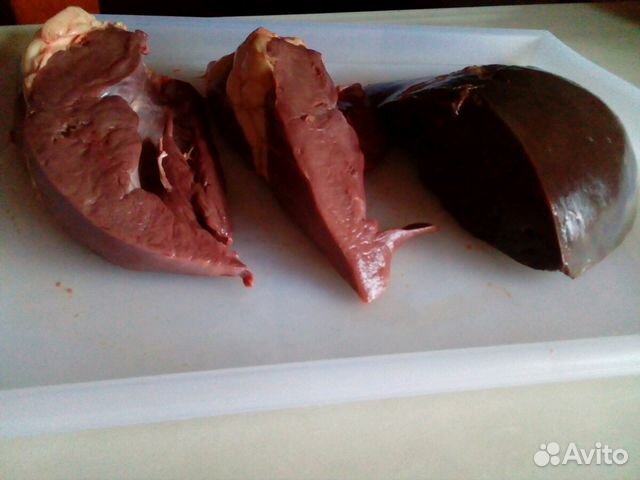 Почки конины. Почки конины. Почки конины. Почки конины. Почки конины.