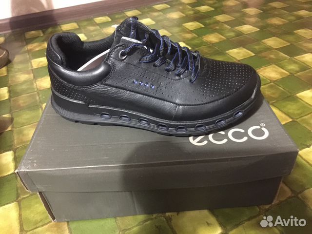 ecco blue