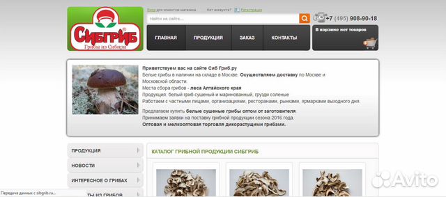 Создание сайтов