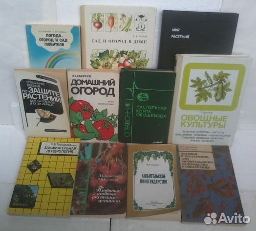 Новые. Сад. Огород. Цветы Новые. Сад. Огород. Цветы